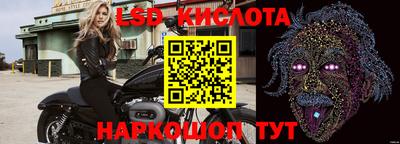 гидра Кимры