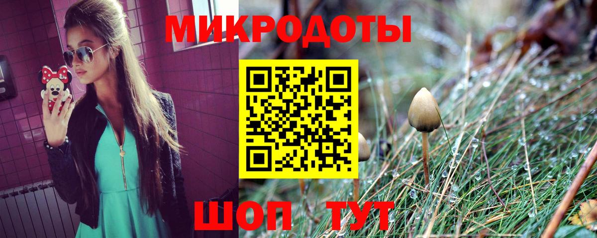 Псилоцибиновые грибы Psilocybine cubensis  Вход с VPN  Галлюциногенные грибы Cubensis  Углич 
