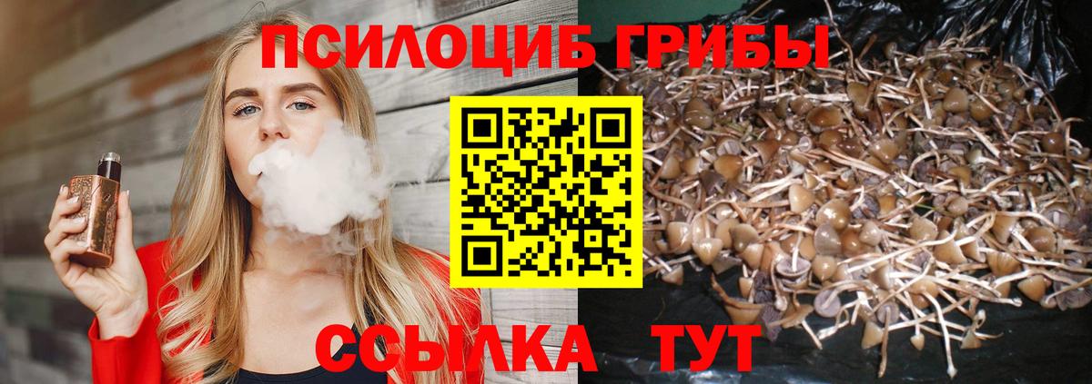 Псилоцибиновые грибы Magic Shrooms Углич
